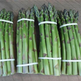 Asparagus Thumbnail